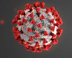 Covid-19 [Coronavirus] Chapel Update