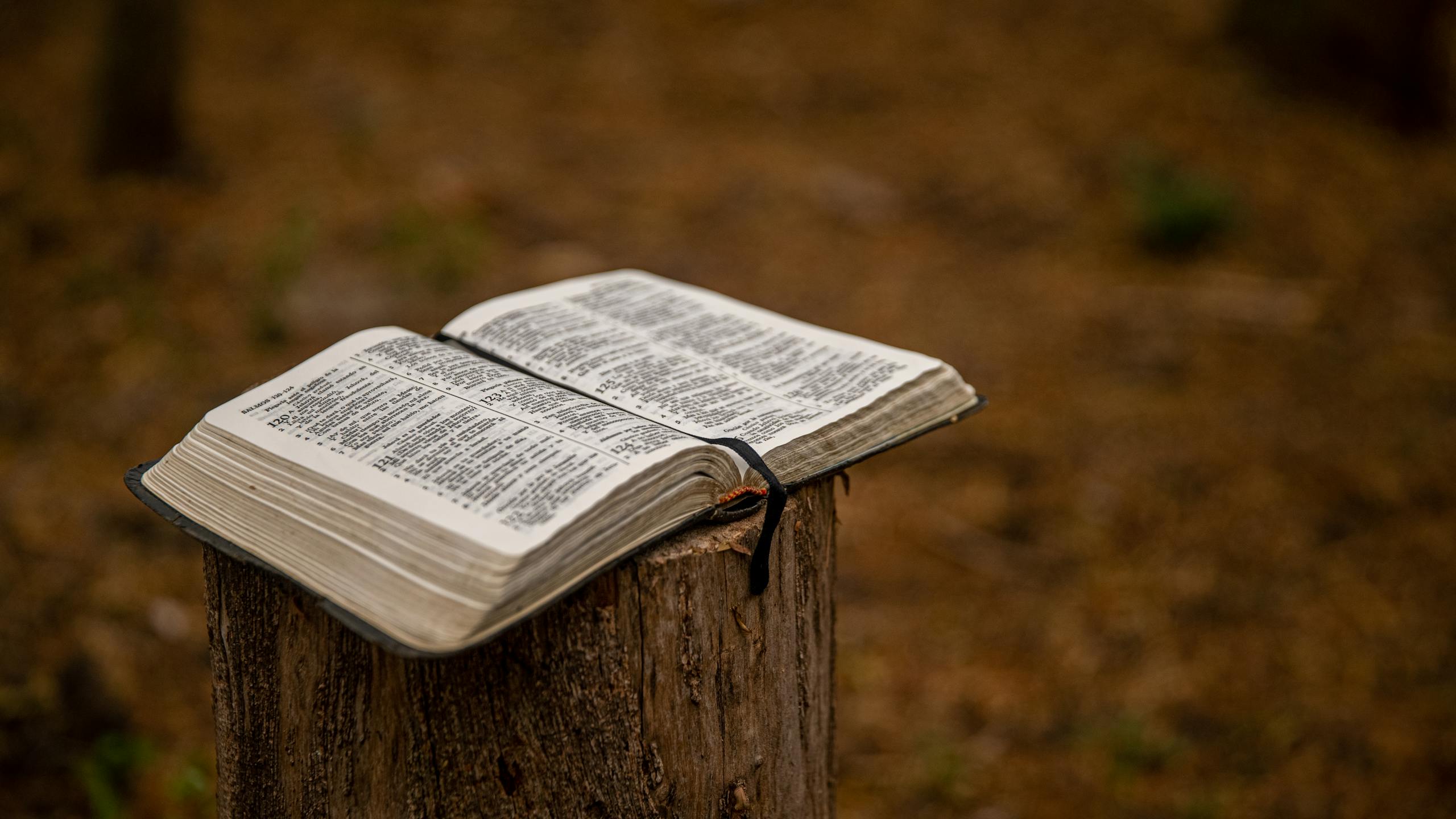 Open Bible placed on a tree stump outdoors, symbolizing faith in nature.